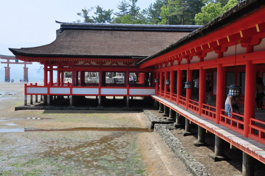 日本广岛县严岛神社