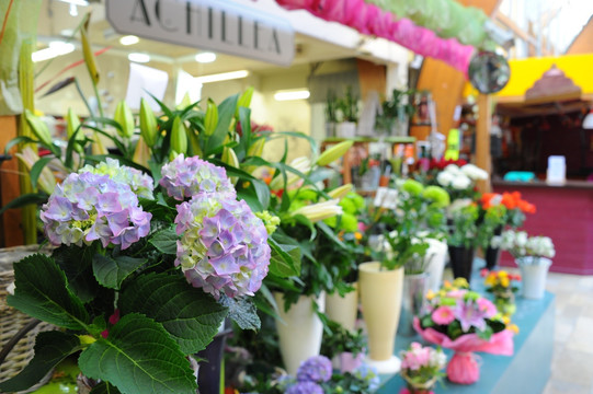 鲜花店铺