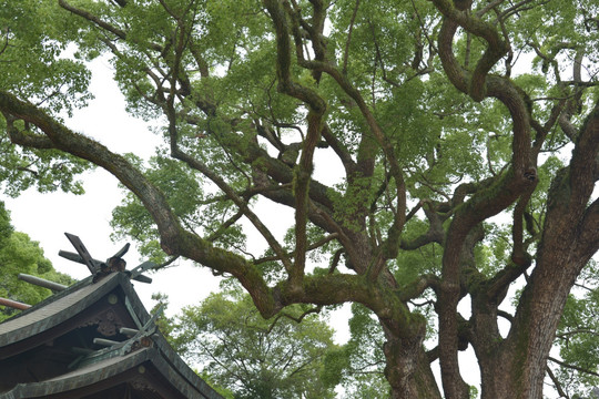 日本艮神社