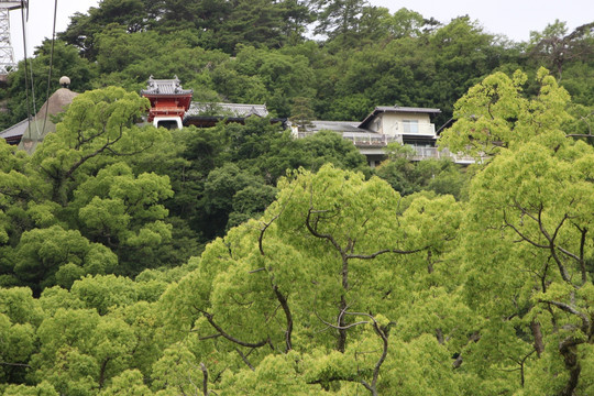 日本广岛县尾道千光寺