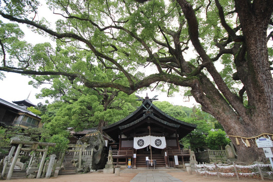 日本广岛县尾道艮神社