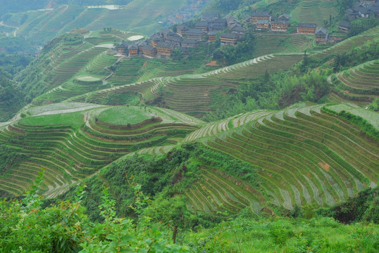 金坑一号景点西山韶乐全景楼