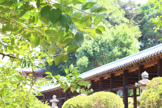日本吉备津神社