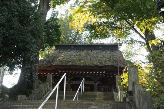 日本达摩少林寺