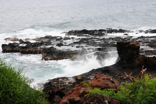 小岛 海边