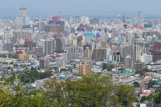 札幌chizaki玫瑰园