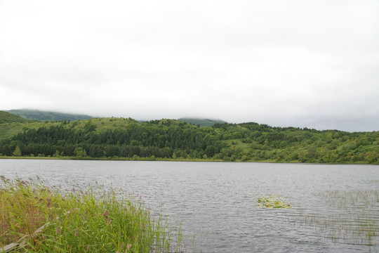 北海道景观