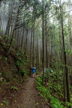 熊野古道