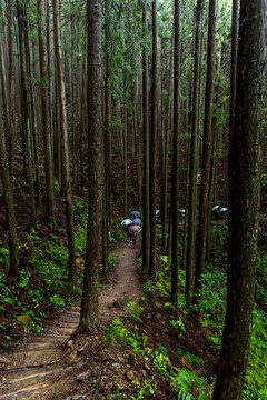 熊野古道