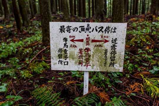 熊野古道牛马