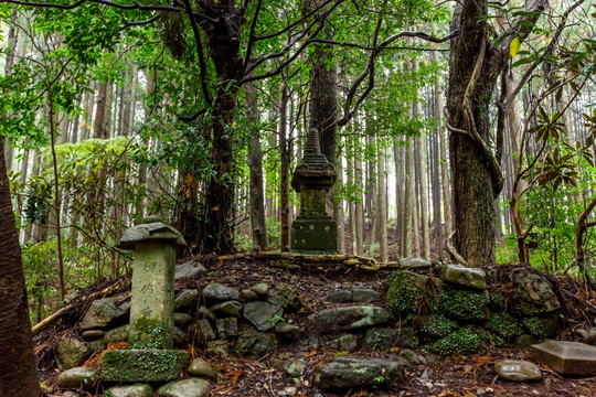 熊野古道