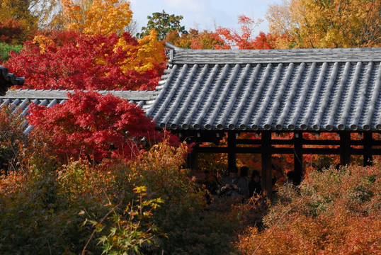 日本东福寺