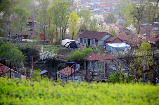 辽宁本溪采煤沉陷区牛心台