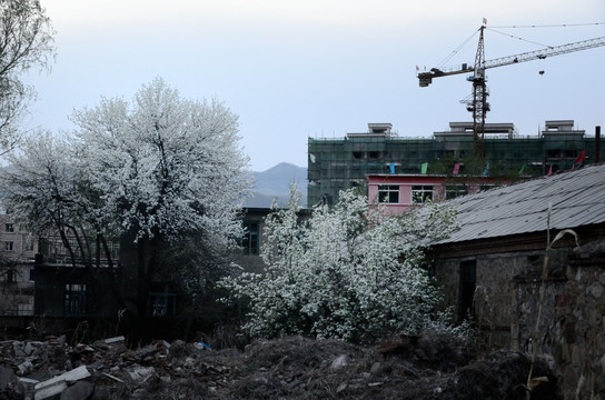 辽宁本溪采煤沉陷区牛心台