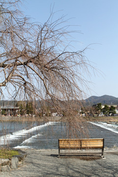 风景图