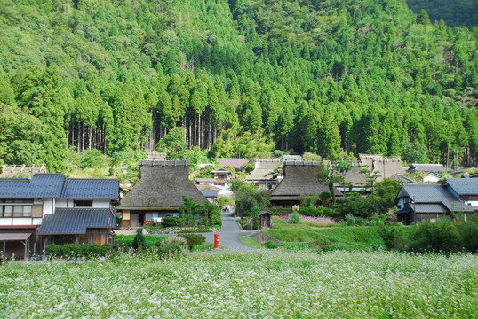 村中小屋