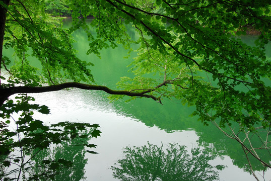 日本十二湖美景图片