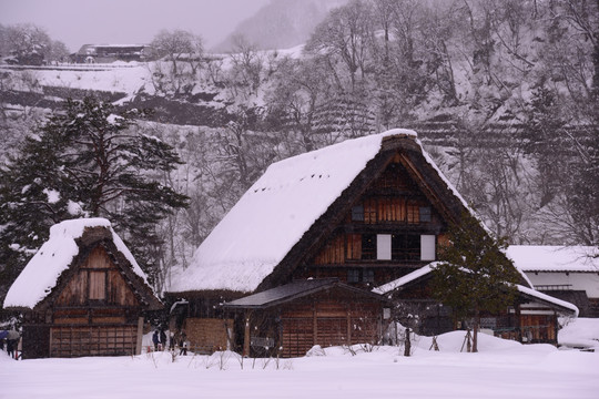 合掌村街景