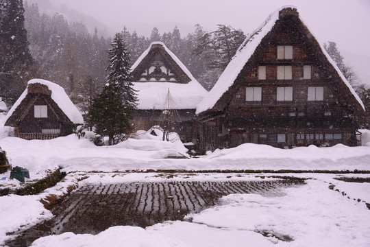 合掌村街景