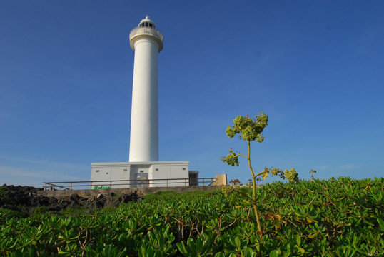 谷村 残波岬