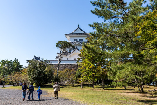 上野城