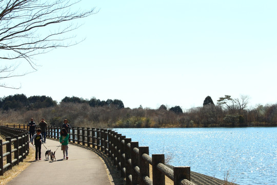 田贯湖