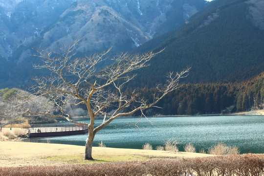 田贯湖