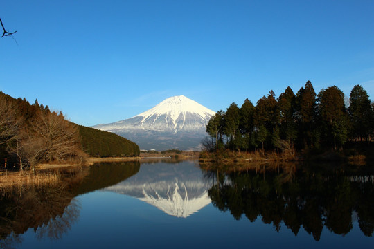 富士山