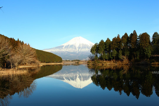 富士山