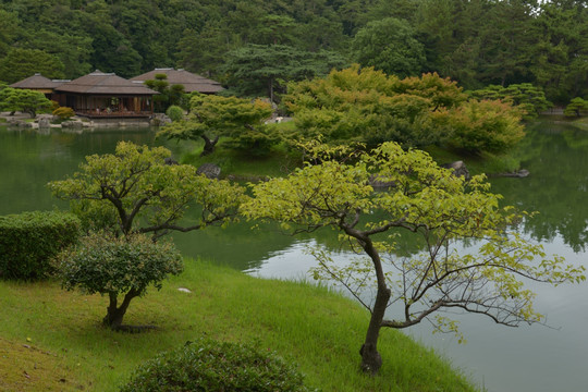 园林水景