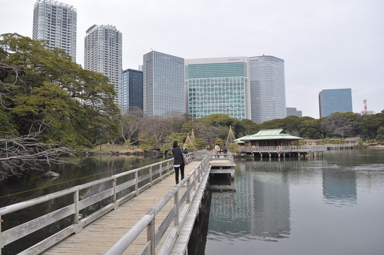 城市