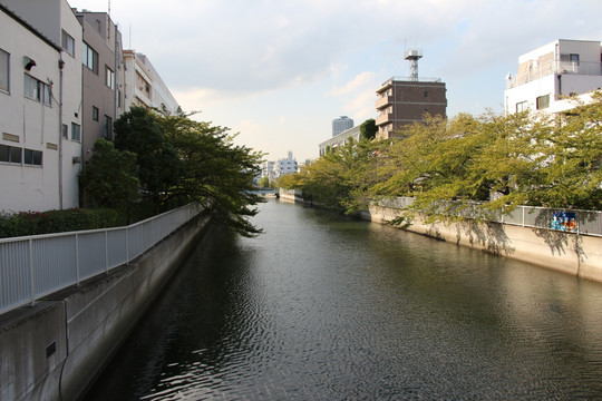 清澄采茶庵