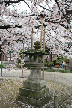 日本东长寺