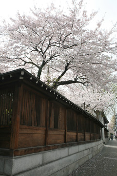 栉田神社