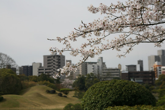 水前寺成趣园