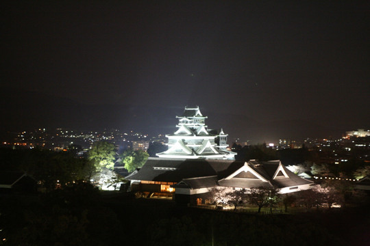 熊本城夜景