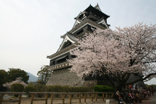 熊本城