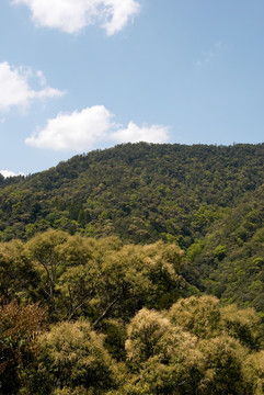 大吊桥四周风景