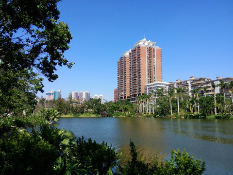 霞湖美景