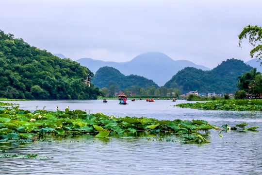 普者黑景区