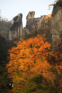 耶马溪 一目八景