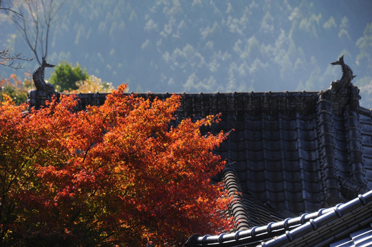 山村秋景