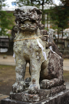 玉姬神社的石狮子
