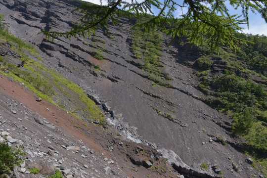 富士山周边游