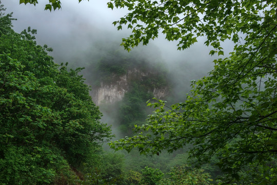 高山