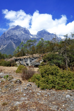 高山地貌风光