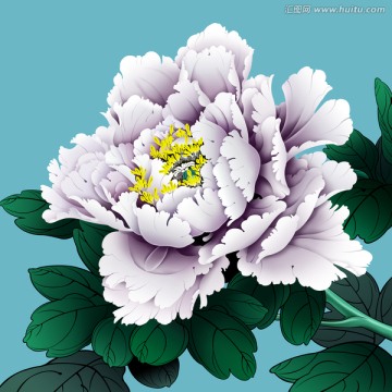工筆畫(huà) 牡丹