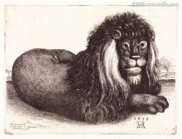 獅子動物版畫 高清品質(zhì)