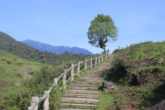 高山山路