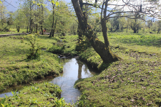 山澗溪流